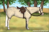Horse Color:White Spotted Gold Cream Champagne 