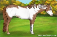 Horse Color:Chestnut Frame