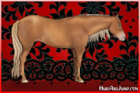 Horse Color:Gray Gold Champagne 