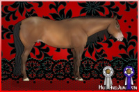 Horse Color:Gray Amber Champagne 