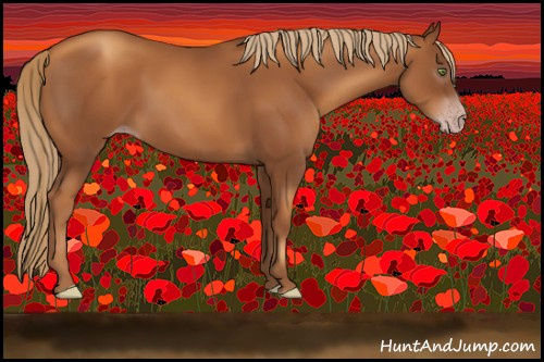 Horse Color:Gray Gold Champagne 