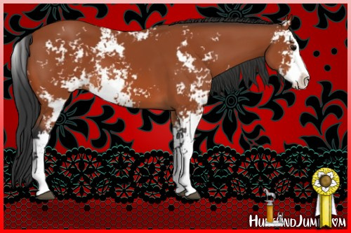 Horse Color:Bay Sabino 