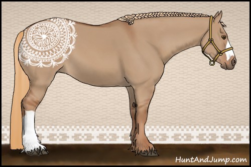 Horse Color:Red Dun 