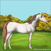 Horse Color:Classic Champagne Roan Pearl Mushroom 