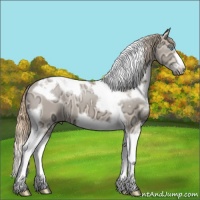 Horse Color:White Spotted Perlino Ice Tobiano Frame 