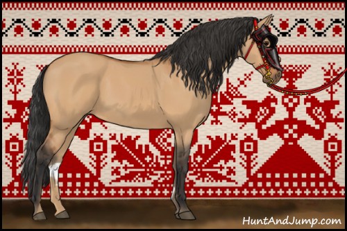 Horse Color:Bay Dun 