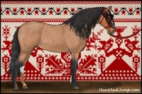Horse Color:Bay Roan 