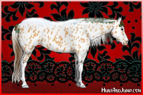 Horse Color:Buckskin Leopard 
