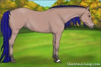Horse Color:Platinum Painted Bay 