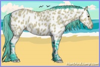 Horse Color:Watercolor Buckskin Appaloosa