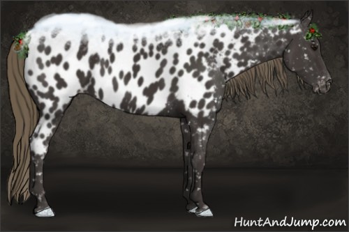 Horse Color:Smoky Black Near Leopard