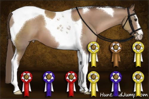 Horse Color:Black Pearl Sabino Tobiano 