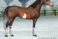 Horse Color:Brown Splash Frame 