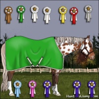 Horse Color:Silver Bay Appaloosa