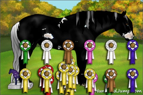 Horse Color:ERROR: UNKNOWN ANOMALY