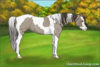 Horse Color:Smoky Grullo Roan Splash Tobiano 