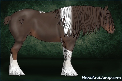 Horse Color:Liver Chestnut Tobiano 