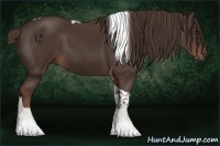 Horse Color:Liver Chestnut Tobiano 