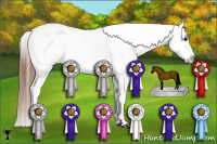 Horse Color:Black Frame Appaloosa  and Black Frame Appaloosa 