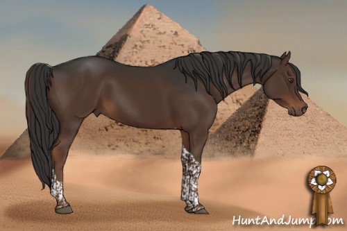 Horse Color:Liver Chestnut Tobiano 