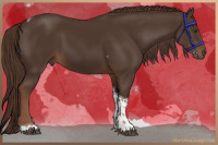 Horse Color:Liver Chestnut Tobiano