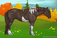 Horse Color:Liver Chestnut Tobiano 