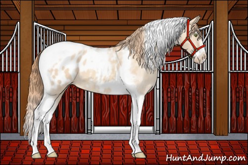 Horse Color:Gold Champagne Roan Dun Splash Tobiano Frame Blanket Rabicano 