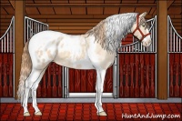 Horse Color:Gold Champagne Roan Dun Splash Tobiano Frame Blanket Rabicano