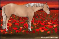 Horse Color:Liver Chestnut Tobiano 