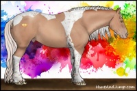 Horse Color:Silver Amber Champagne Tobiano 