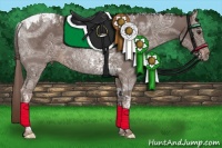 Horse Color:Liver Chestnut Ice Tobiano