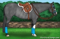 Horse Color:Black Rabicano 