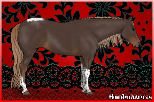 Horse Color:Liver Chestnut Tobiano 
