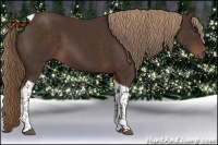 Horse Color:Liver Chestnut Tobiano 