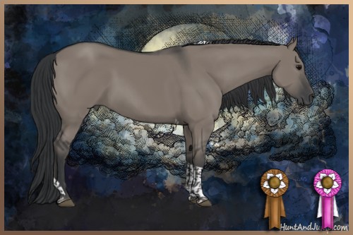 Horse Color:Grullo Tobiano