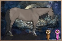 Horse Color:Grullo Tobiano 