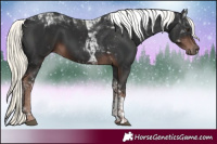 Horse Color:White Spotted Liver Chestnut Mushroom Tobiano 