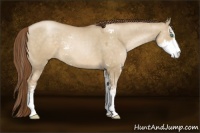 Horse Color:Smoky Grullo Pearl Sabino