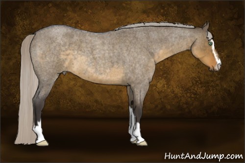 Horse Color:Silver Smoky Grullo Roan Sabino 