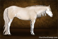 Horse Color:Silver Buckskin Pearl Dun Sabino 
