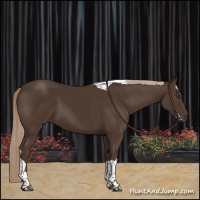 Horse Color:Liver Chestnut Tobiano 
