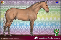 Horse Color:Silver Bay Dun Tobiano Rabicano