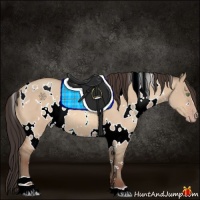 Horse Color:White Spotted Sable Champagne Dun