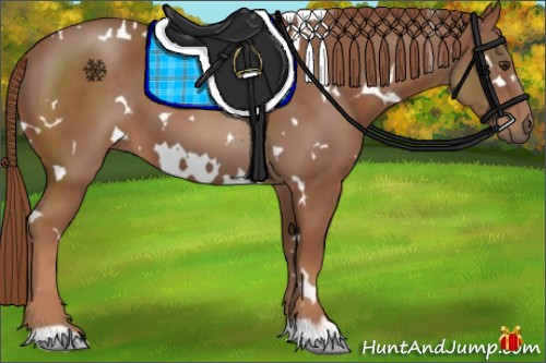 Horse Color:White Spotted Chestnut 