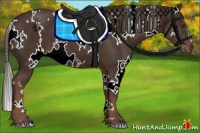 Horse Color:White Spotted Liver Chestnut 