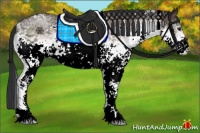 Horse Color:White Spotted Brown 