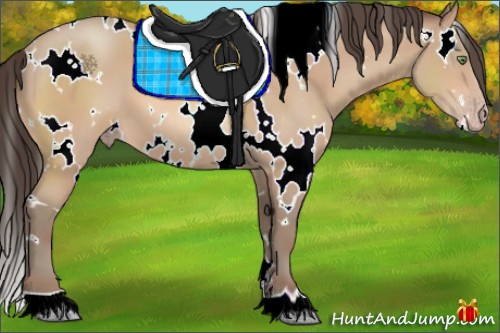 Horse Color:White Spotted Amber Champagne 