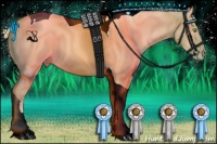 Horse Color:Gold Champagne Tobiano
