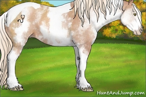Horse Color:White Spotted Gold Champagne Tobiano