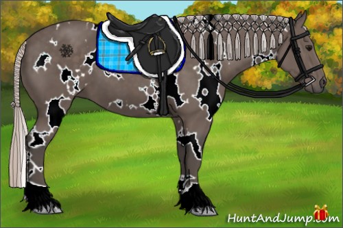 Horse Color:White Spotted Silver Black 